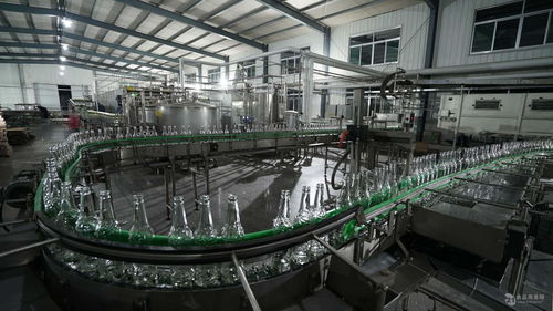 山東濰坊啤酒代加工與貼牌定制全攻略 英豪啤酒的批發優勢與市場推廣策略